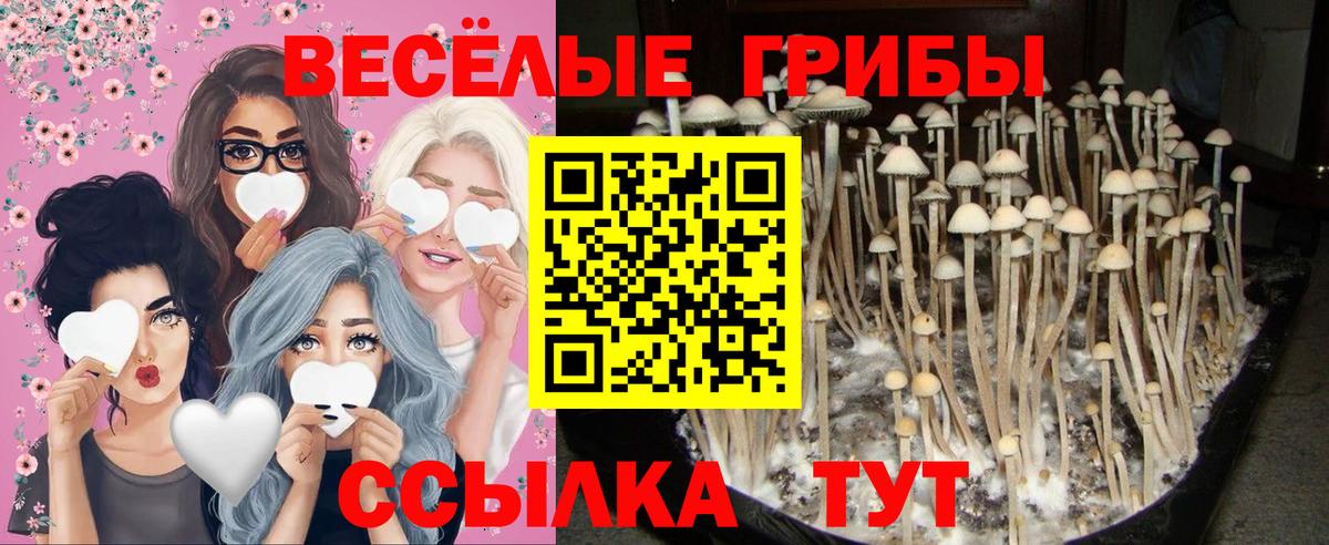 Псилоцибиновые грибы ЛСД  Вход с VPN  Орехово-Зуево 